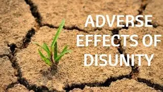 Effects of Disunity