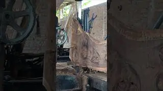 The Beauty of Wood Grain When Sawed