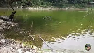 Panchase Lake