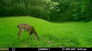 Moultrie A30i Game Camera