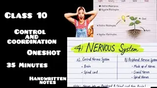Control And Coordination Class 10 || Complete Chapter in One shot || NCERT covered || #cbseboard 