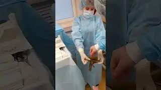 Косточка на ноге. Хирургия стопы
