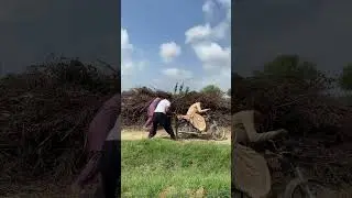 Hunting birds 😱🦜🦜🦉🦚 #huntingkeretaapi#viralvideoシ #farming #birdhunting #shortvideo