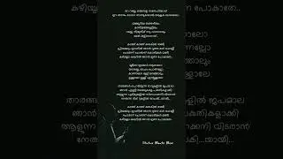Ya Rabbe song lyrics #kadinakadorameeandakadaham #malayalam #song #govindvasantha