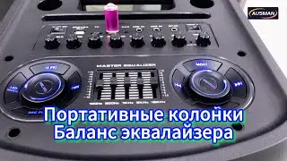 Портативный динамик для вечеринок, баланс эквалайзера | Производитель портативных динамиков Китай