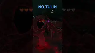 NO TULIN #funny #meme #totk #tulin #run