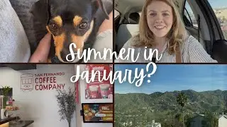 Summer in January?