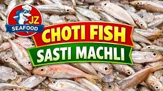 Today Karachi Fish Market | Dam Mandi Choti Fish Rates | Sasti Machli | Daily Fish Update