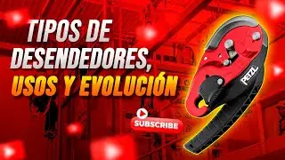 Verificamos los tipos de DESENDEDORES, su EVOLUCIÓN y sus USOS