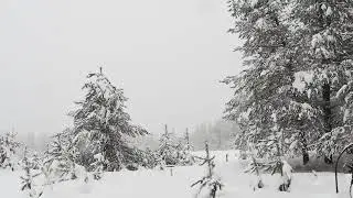 soft piano music for relaxation /snowing background👍🏿👌