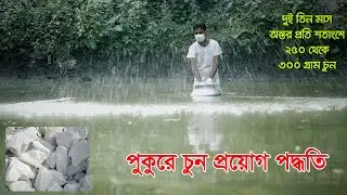 পুকুরে চুন প্রয়োগ  Liming, World Fish. Apply lime to the pond