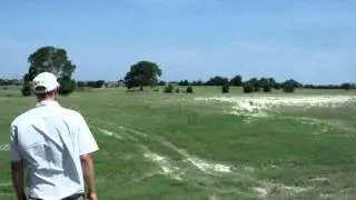 North Texas Dog Trainers