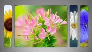 Make Creative Image Sliders in Microsoft PowerPoint 🔥 Free Template