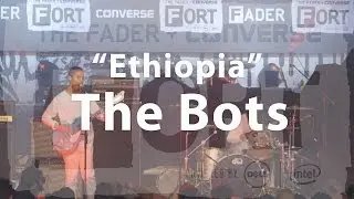 The Bots, 