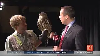Indy Fringe preview