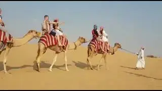 Kamelritt in der W&uuml;ste von Dubai