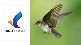 How to create bird logo design |  coreldraw par logo kaise banaye||