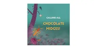 Calling all Chocolate Midges!