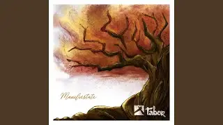Manifiestate