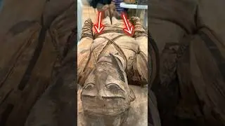 There is something unusual about this mummy #egypt