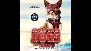 Superpower Dogs: Henry: Avalanche Rescue Dog by Cosmic | Free Audiobook