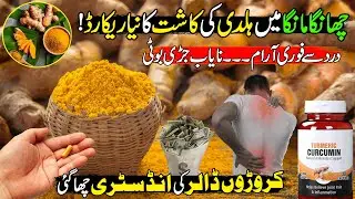 Turmeric (Haldi) Farming In Pakistan | World's New Billion Dollar Super Industry | Made In Pakistan