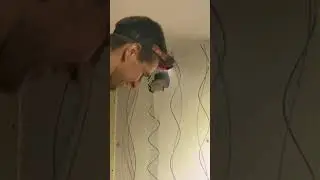 People rescue their family cat that got stuck in the wall.