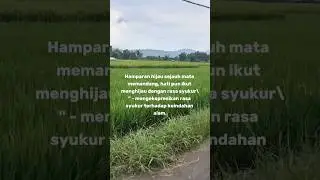 Momen Perjalanan #perjalanan #pemandangan #photography #shortsvideo#trip #sawah #alam