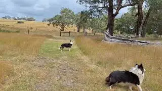 Where is George ?