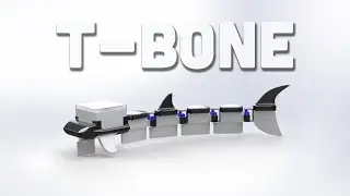 T-Bone: A Bio-Inspired Robotic Fish Documentary