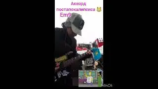Аккорд постапокалипсиса на гитаре #аккорд #постапокалипсис #конецсвета #живаягитара