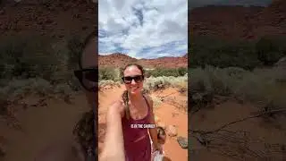 Pro tip: don&rsquo;t hike a desert canyon with toddlers in peak heat