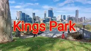 Kings Park Perth, WA