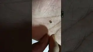 Jio 220b mic change | Jio mic bad sound problem salve #jiophone #solution