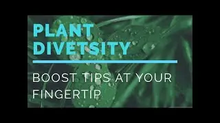 Exploring Plant Diversity Flowering 🌿✨ grade 7 science English medium 1st term test papers
