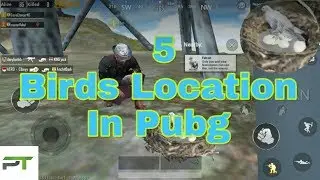 5 locations where you can find birds in PUBG mobile |PUBG TAMILAN