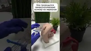 Как проводится гинекологический осмотр на зеркалах