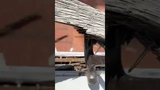 Замена подоконника #сделайсам