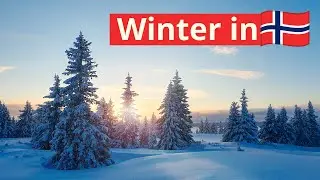 Heftige Winterbedingungen in Norwegen 🇳🇴