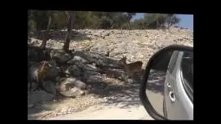 Aitana Safari Park, Spain