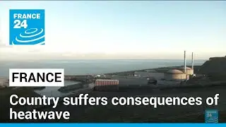 From agriculture to nuclear power: The impact of France&rsquo;s heatwave &bull; FRANCE 24 English