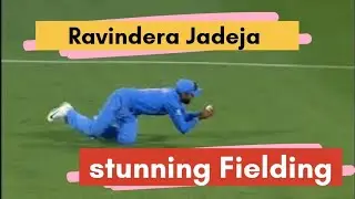 Ravindra Jadeja best fielding//रविंद्र जडेजा की शानदार फील्डिंग!!😮 #viral