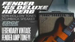 Vintage 1965 Fender Deluxe Reverb + Semi-Hollow Tones! | Fuzz Face, Tubescreamer & Scumback Swap