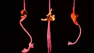 Kari Burke Choreography | Triptych aerial silks