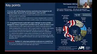 American Petroleum Institute&rsquo;s Industry Outlook