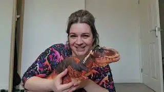 BOTM 1:18 T. rex Unboxing and 1st Look!