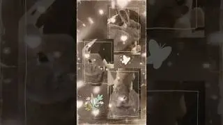 I would like to give a Silver Creator Award to the rabbit who has departed for heaven.
