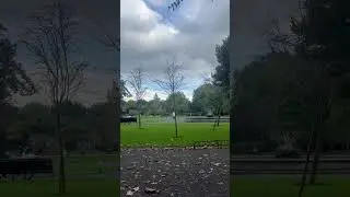 Fall in Ireland 🇮🇪☘️#ireland #dublin #city #travel #nature #viral #guinessrecords