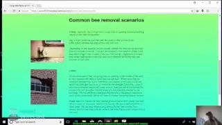 san antonio bee removal