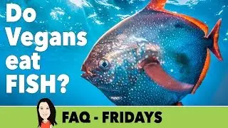 FAQ Friday: Do Vegans Eat Fish?